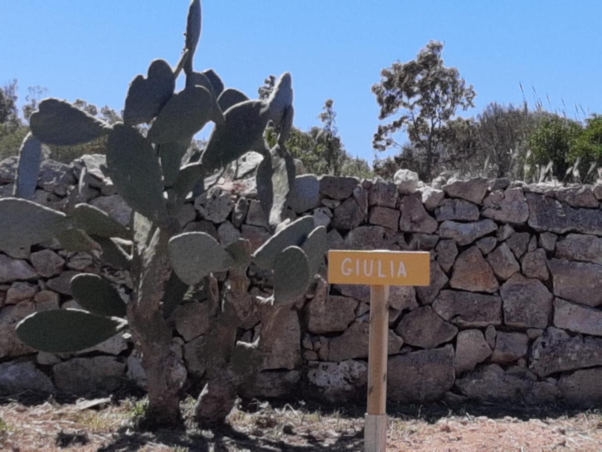 Tenuta L'Alba Di Monte Matino Otranto Kültér fotó